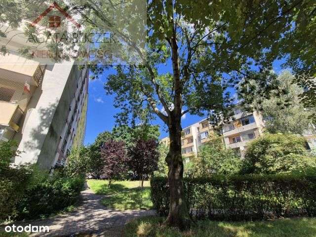 Świetne 3 pok., rozkład, balkon, 3 stronne!-11