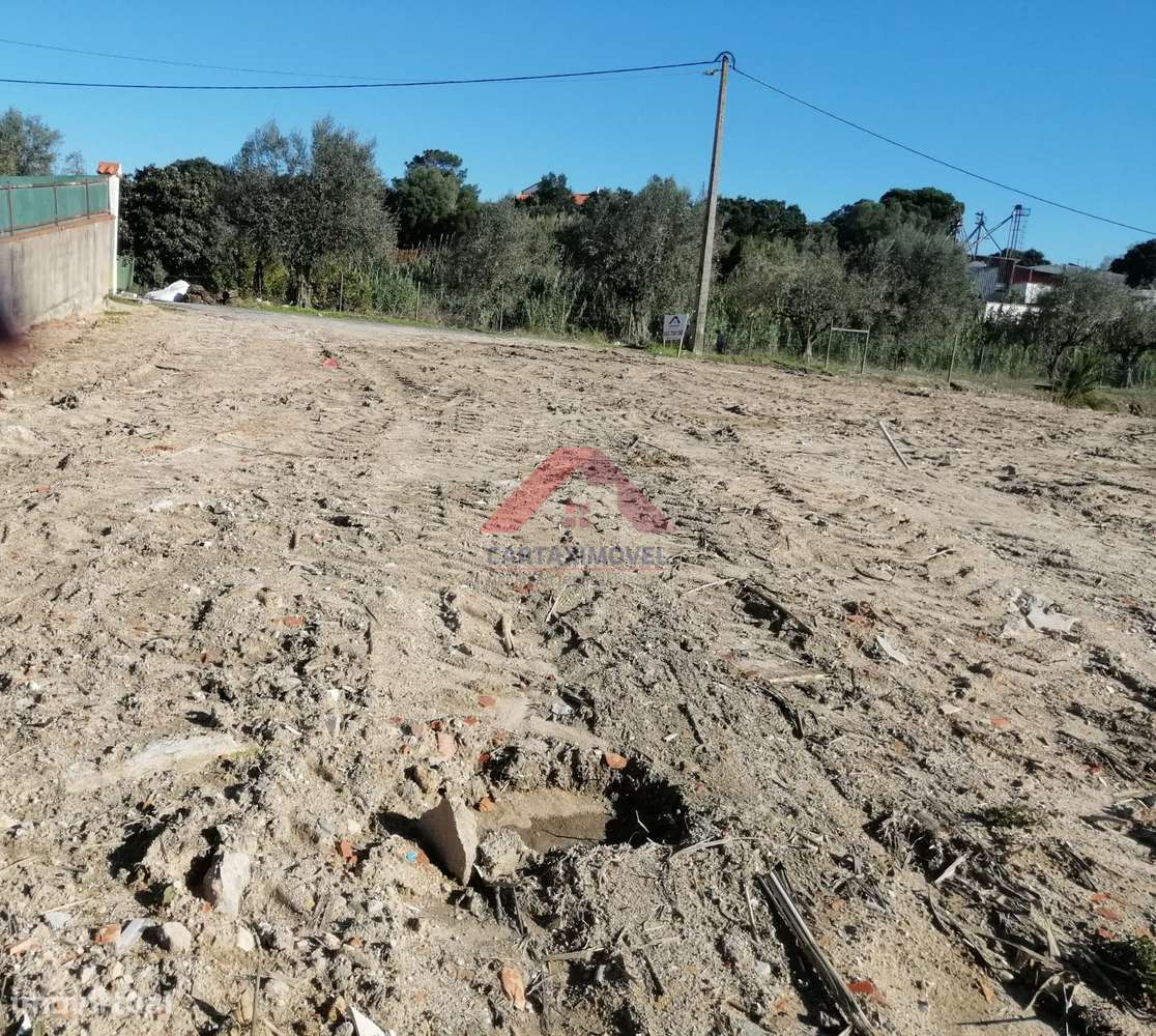 Terreno Para Construção  Venda em Cartaxo e Vale da Pinta,Cartaxo - Grande imagem: 3/3