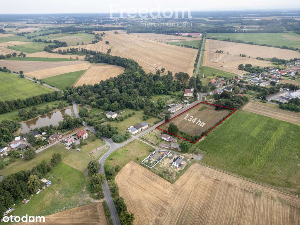 Sprzedam działkę 1,34ha z warunkami zab.na 6 domów - Pełny obrazek: 4/8