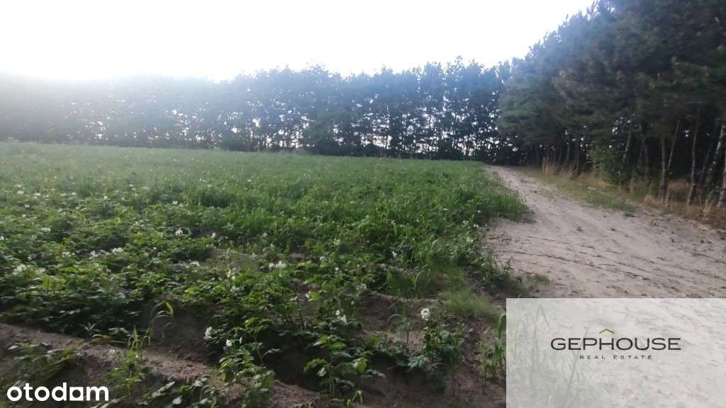 Dobra inwestycja na przyszłość - Pełny obrazek: 5/8