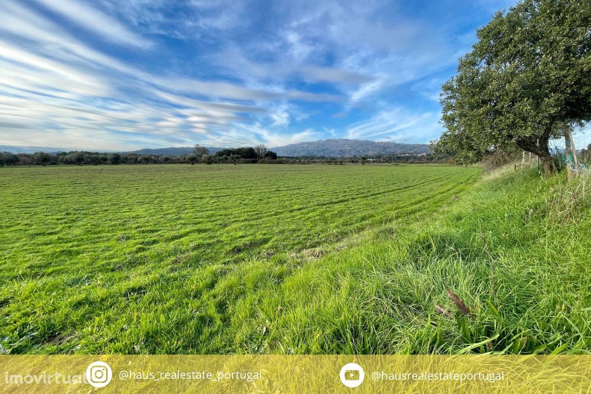 Quinta com 23 hectares junto a serra da gardunha, Soalheira Fundão