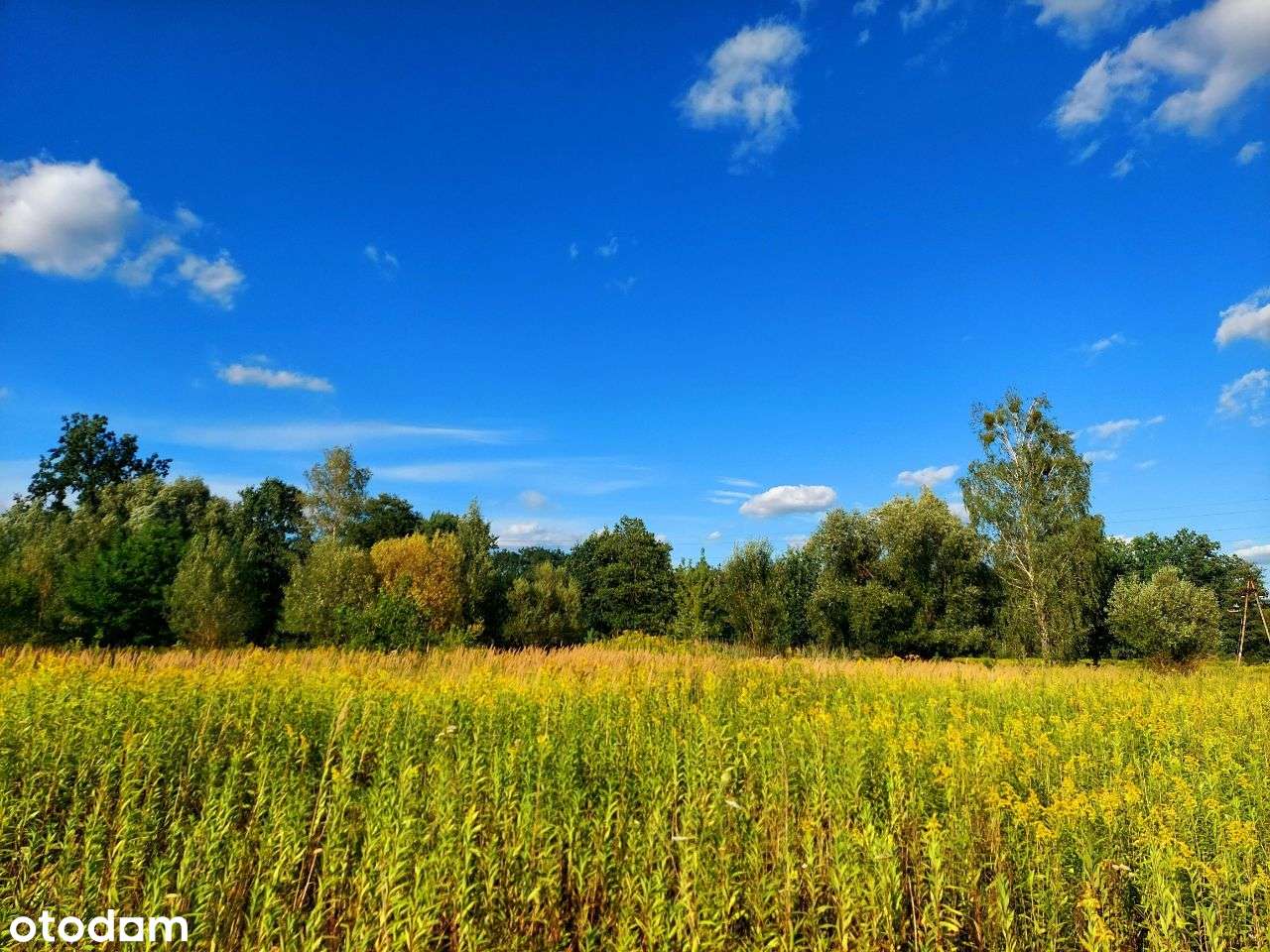 Do sprzedania piękna działka budowlana w Żanęcinie-6