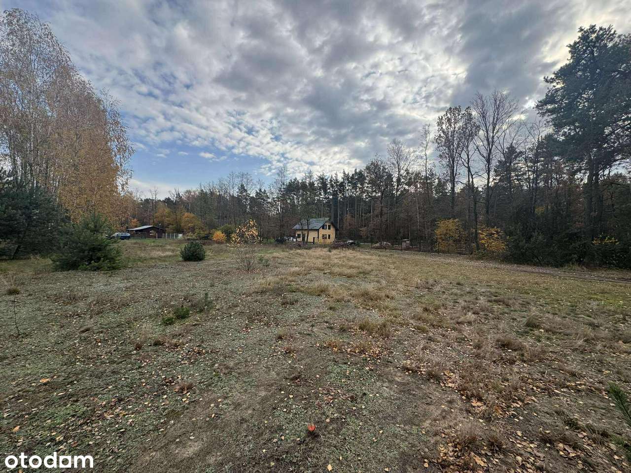 Bezpośrednio. Duża działka z Warunkami Zabudowy.-0
