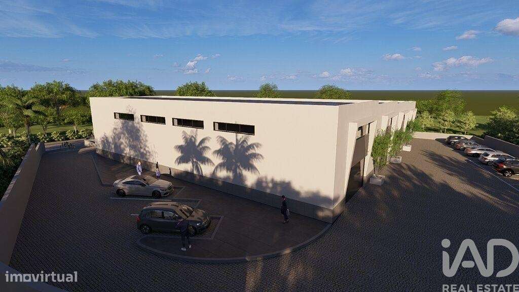 Loja / Estabelecimento Comercial em Almancil de 300,00 m2 - Grande imagem: 4/12