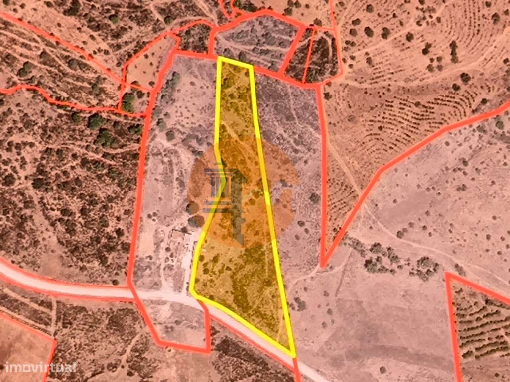 TERRENO RUSTICO COM 1.6 HECTARES - PRÓXIMO A ELETRICIDADE - PRÓXIMO... - Grande imagem: 2/28