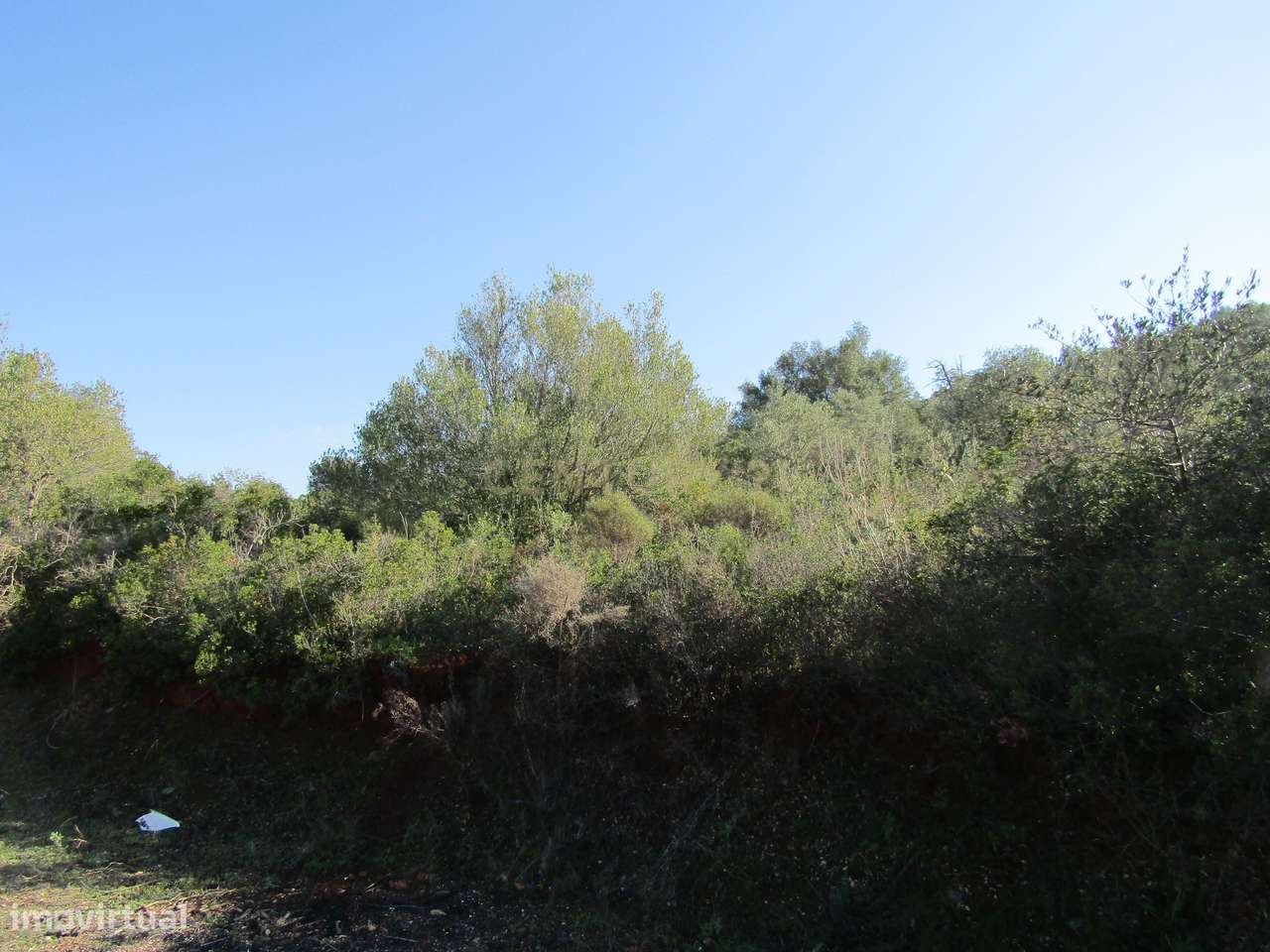 Terreno Rústico - Grande imagem: 3/8