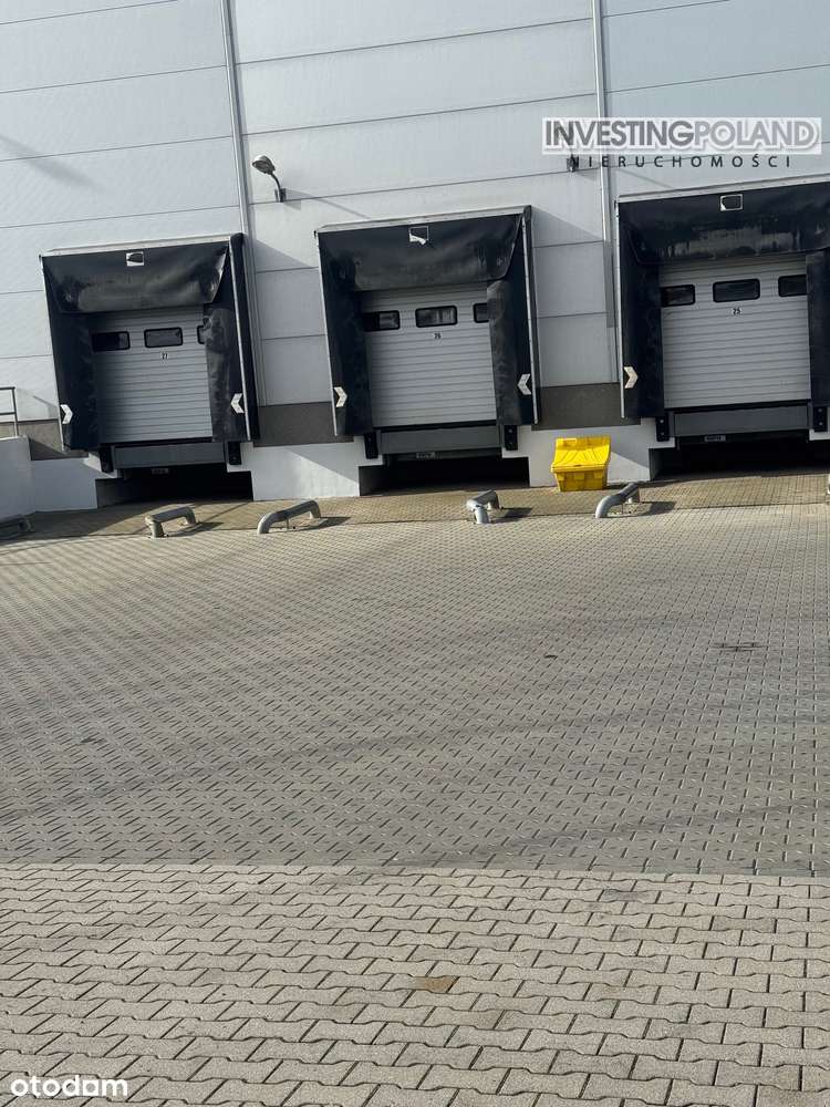 Magazyn z dokami i bramami, plac dla Tirów, plac składowy - Pełny obrazek: 4/8