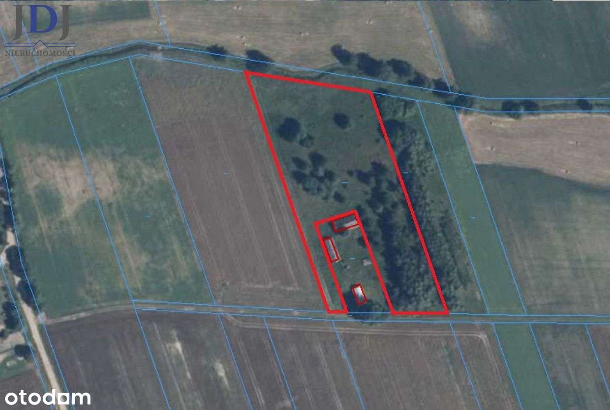 DZIAŁKA 9100 m2- WÓLKA ZABŁOCKA. TUCZNA - Pełny obrazek: 2/7