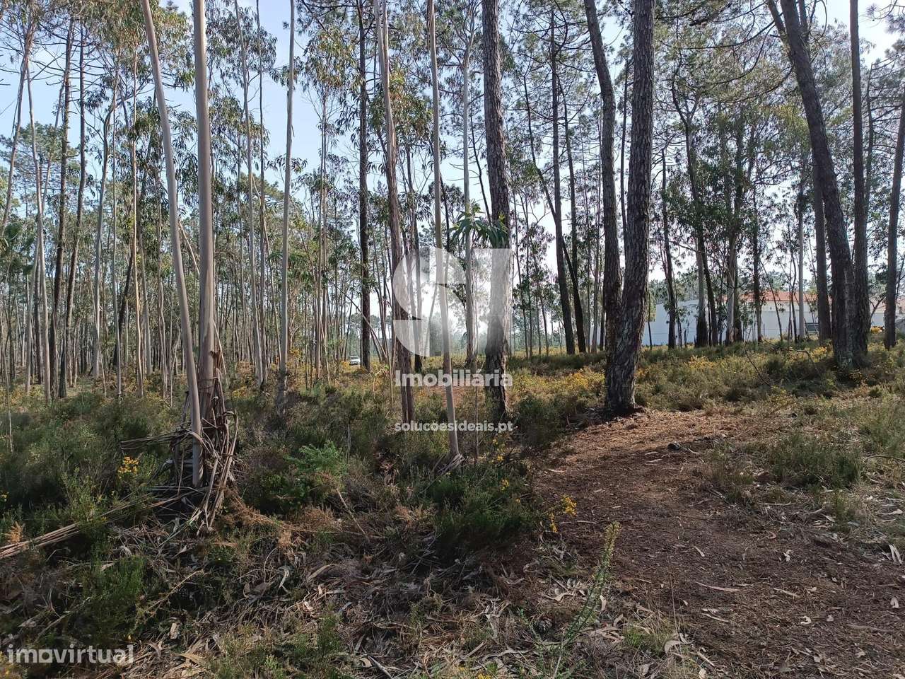 Vende Terreno - Grande imagem: 4/5