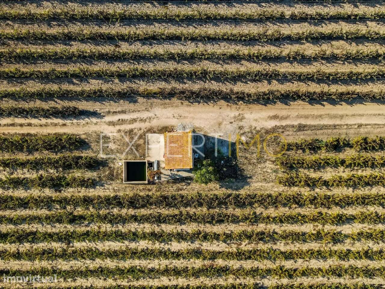 Terreno Rústico Palmela - Grande imagem: 2/13