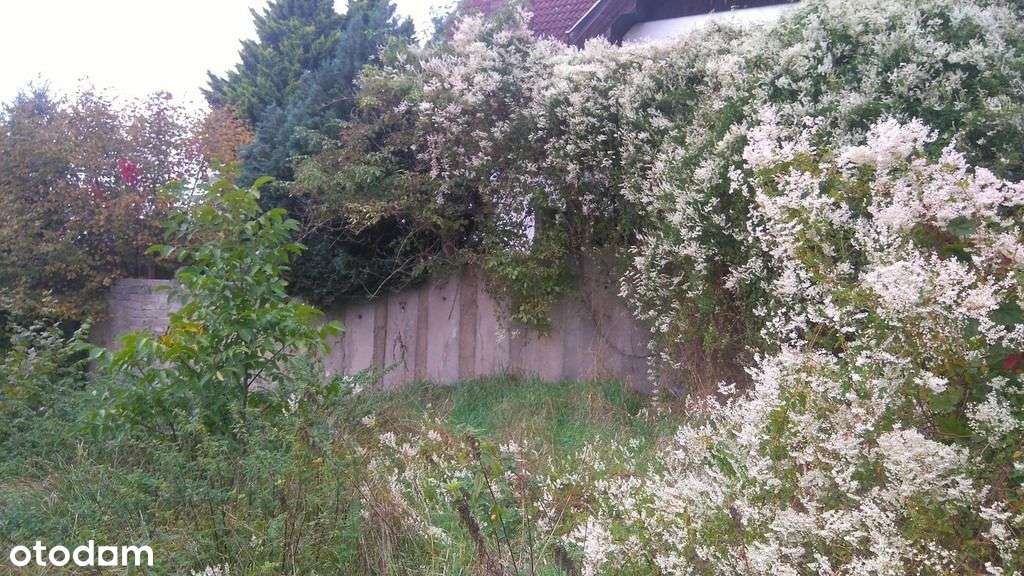 Lusowo działka 863m2 widok w kierunku jeziora - Pełny obrazek: 4/6