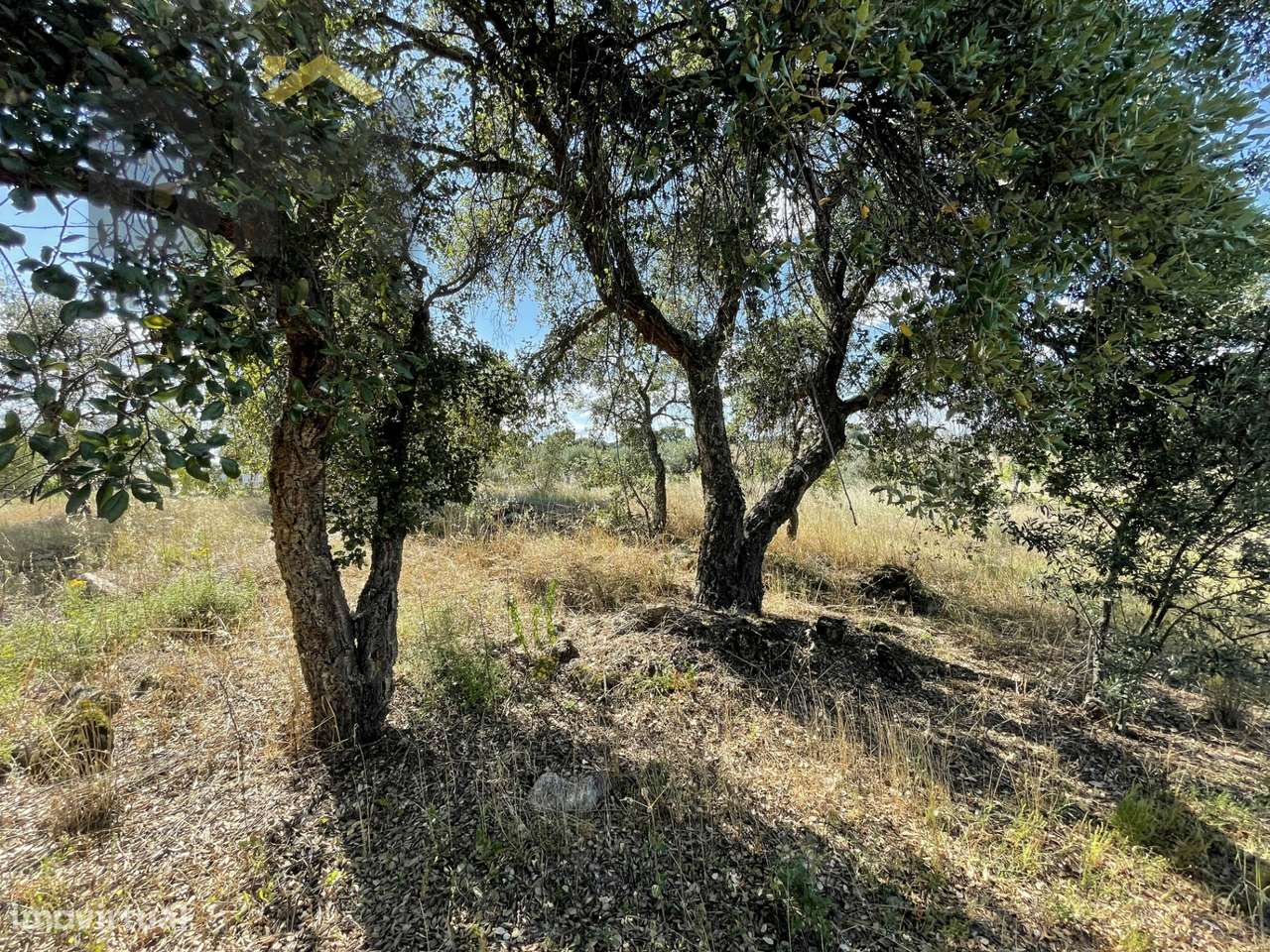 Quintinha  Venda em Escalos de Cima e Lousa,Castelo Branco - Grande imagem: 5/26