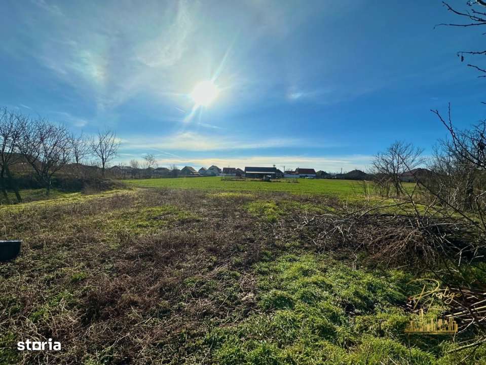 Teren de 1400 mp la strada principala in Salard - Bihor - Imagine principală: 1/9