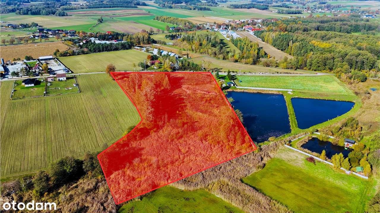 Działka pod inwestycję turystyczno-rekreacyjną, 3 ha,70 km od Warszawy - Pełny obrazek: 4/20