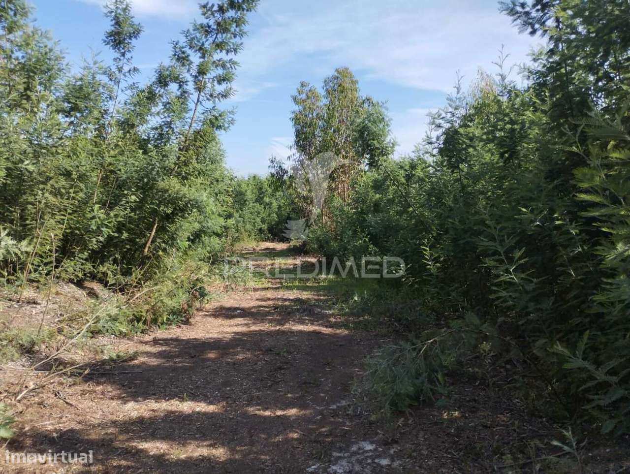 Terreno Urbano em Azurva - Grande imagem: 5/9