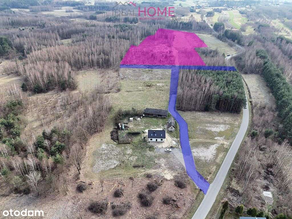 Sprzedam działkę 3,53ha - Krzątka obok Nowej Dęby - Pełny obrazek: 2/16