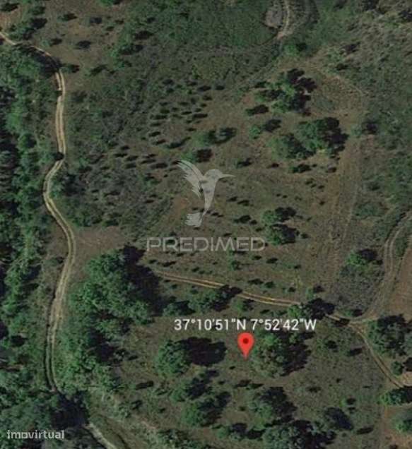 Terreno Rustico no sitio da Tareja - Grande imagem: 2/10