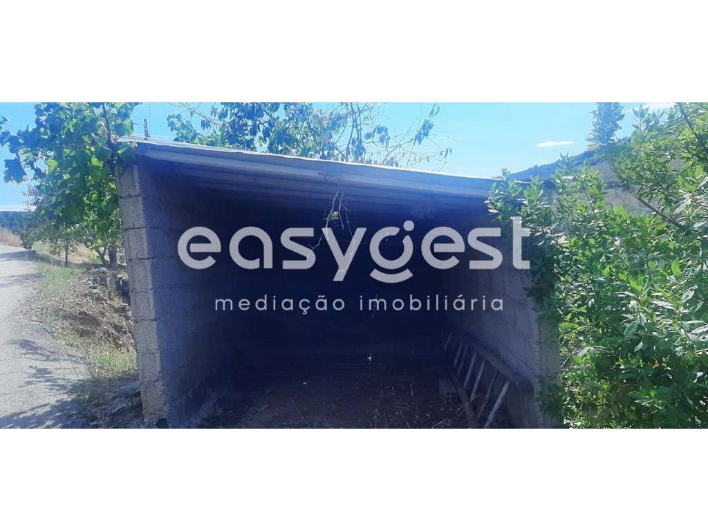 Moradia T2+1 na localidade de Quinta das Pereiras, Carviçais - Grande imagem: 5/17