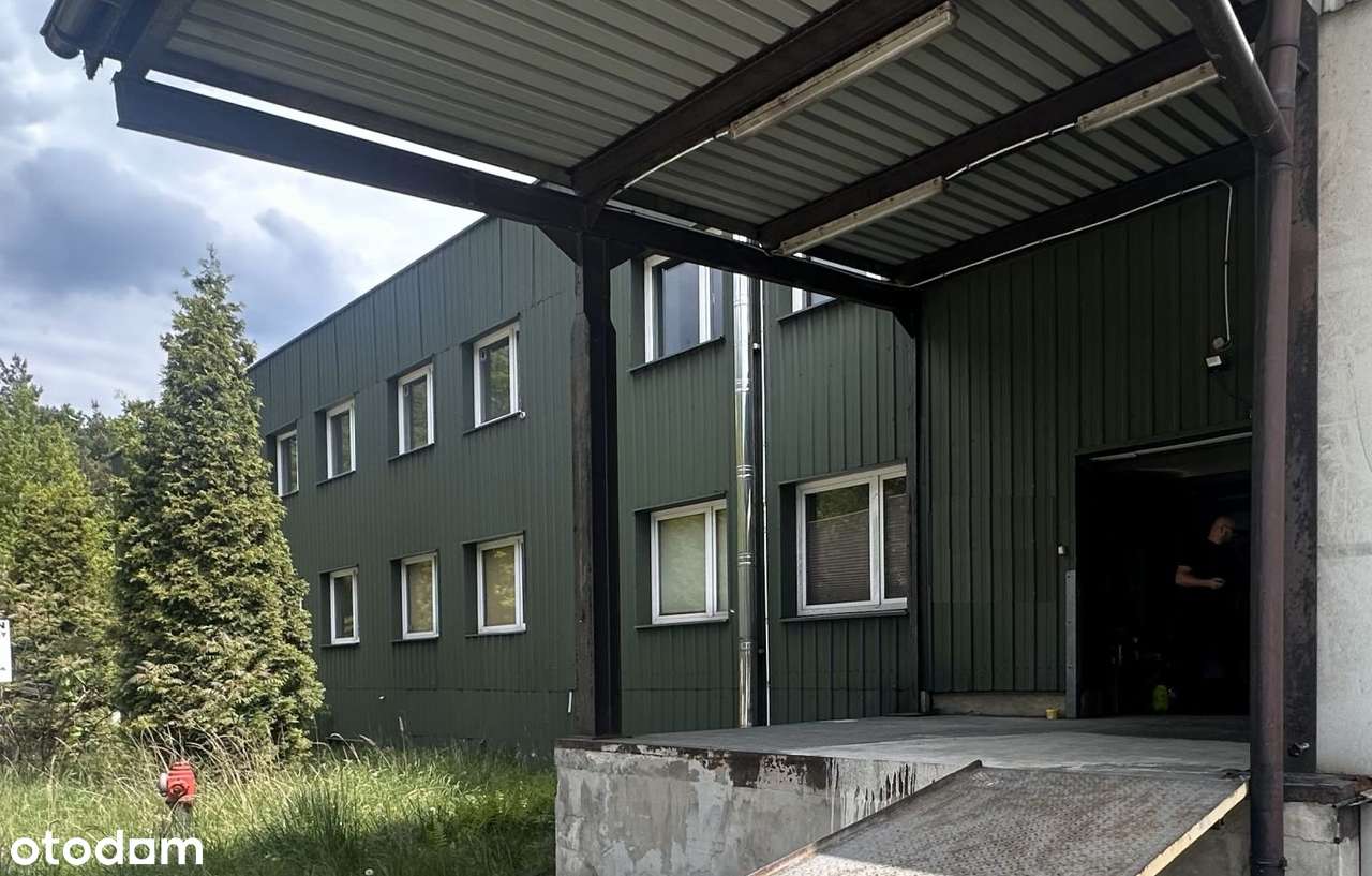 Magazyn z rampą do wynajmu - Pełny obrazek: 1/2