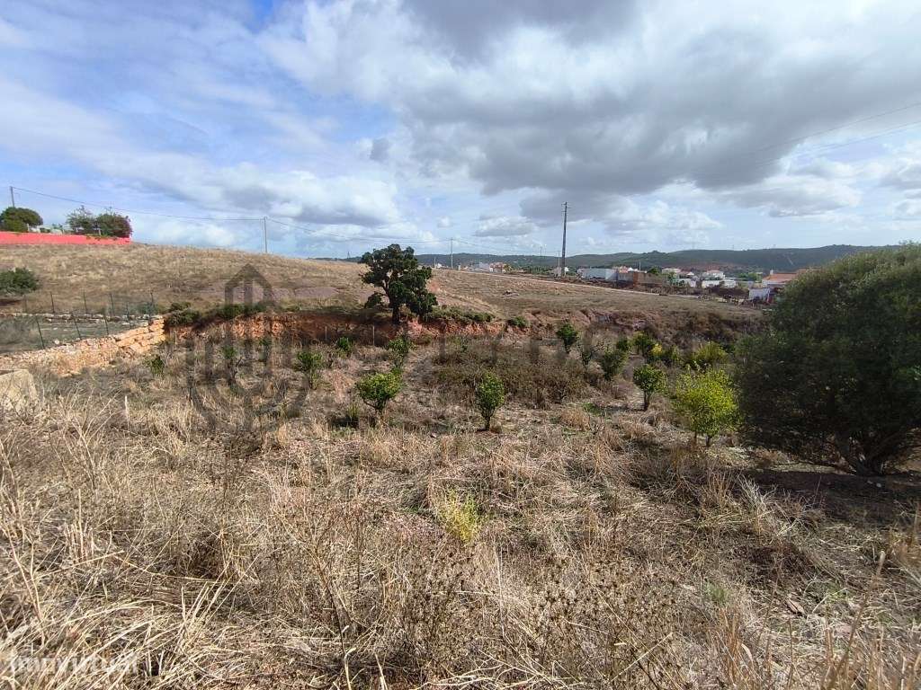 Duas Moradias T1 e T2 de campo em recuperação-8