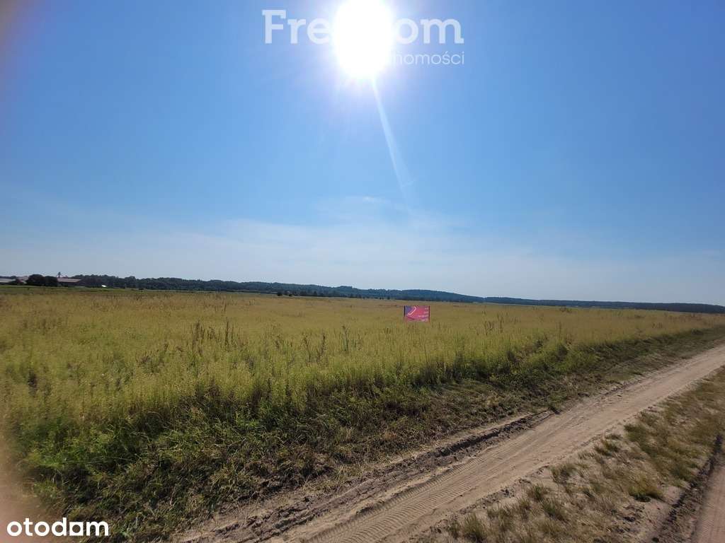 Działka Napiwoda Mazury Nidzica 7km - Pełny obrazek: 5/20