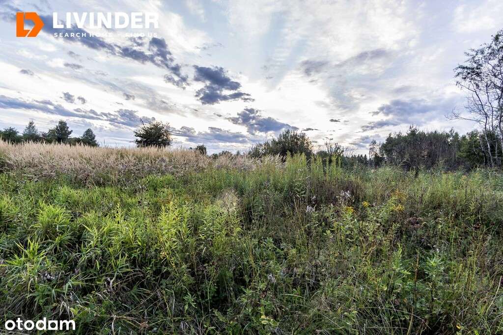 Działka z możliwością budowy domu i bliźniaka - Pełny obrazek: 4/4