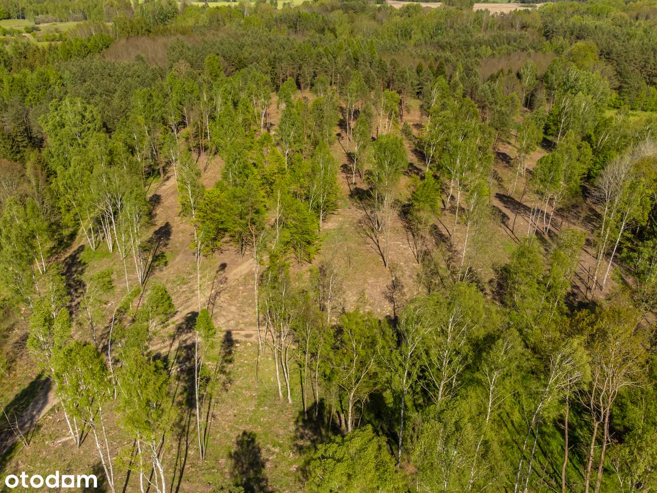 Działka inwestycyjna-5