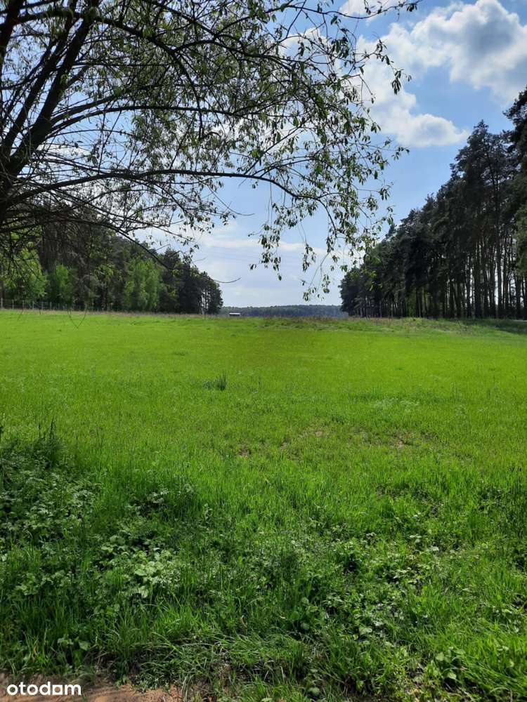 SPRZEDAM DZIAŁKĘ  LETNISKOWĄ  REKRACYJNĄ W IMIELNIE  1558ha