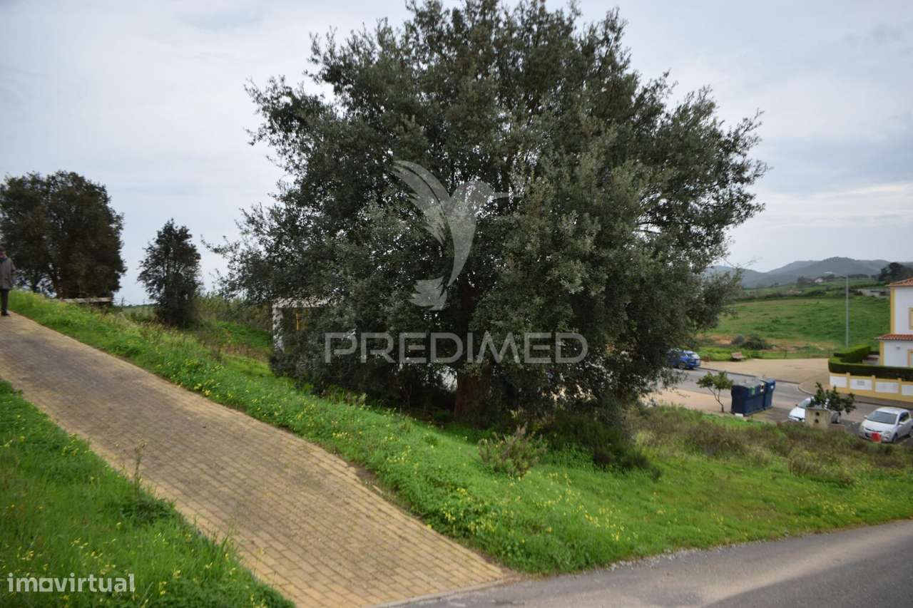 Lote para moradia, Cercal do Alentejo - Grande imagem: 5/11