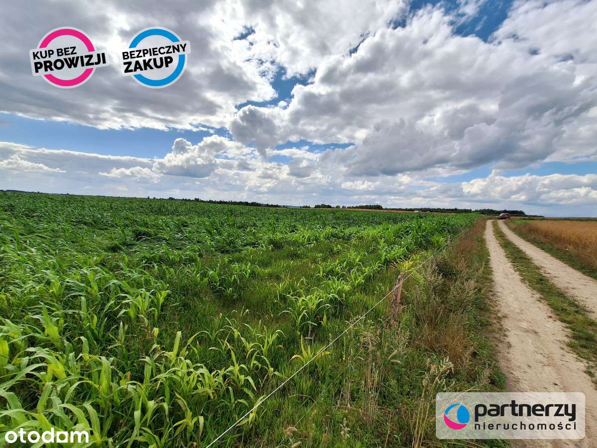 Działki  Bud. Małkowo  z WZ - Pełny obrazek: 4/6