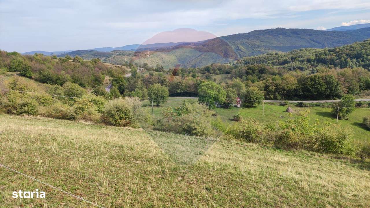 Teren constructii si faneata/livada 3082 mp Damis Bratca drum DJ 764D - Imagine principală: 1/20