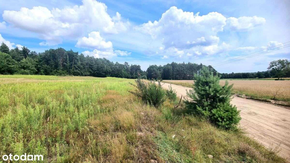 Działka Pod Lasem Z Pięknym Widokiem I Decyzją WZ - Pełny obrazek: 4/7