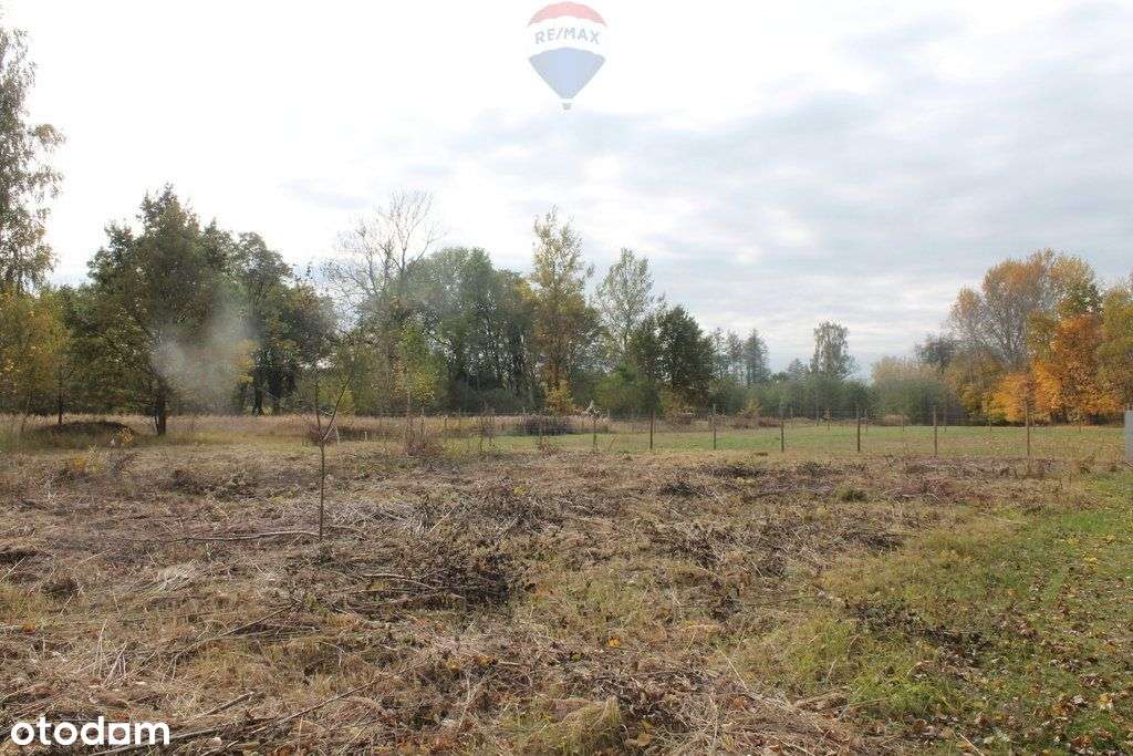 Działka budowlana w Zazdrości koło Żyrardowa - Pełny obrazek: 5/20