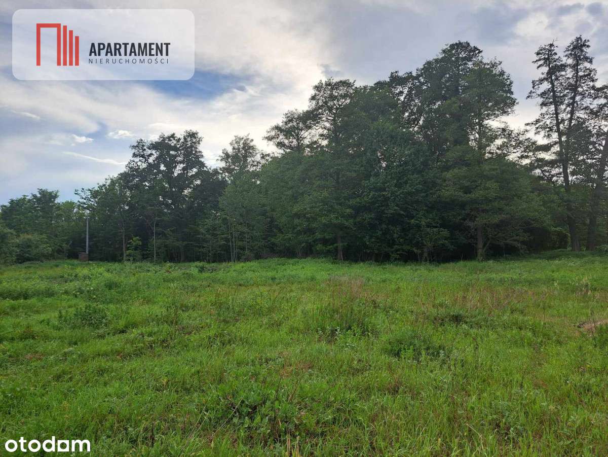 Działka z widokim na las 35 km od Wrocławia! - Pełny obrazek: 4/9