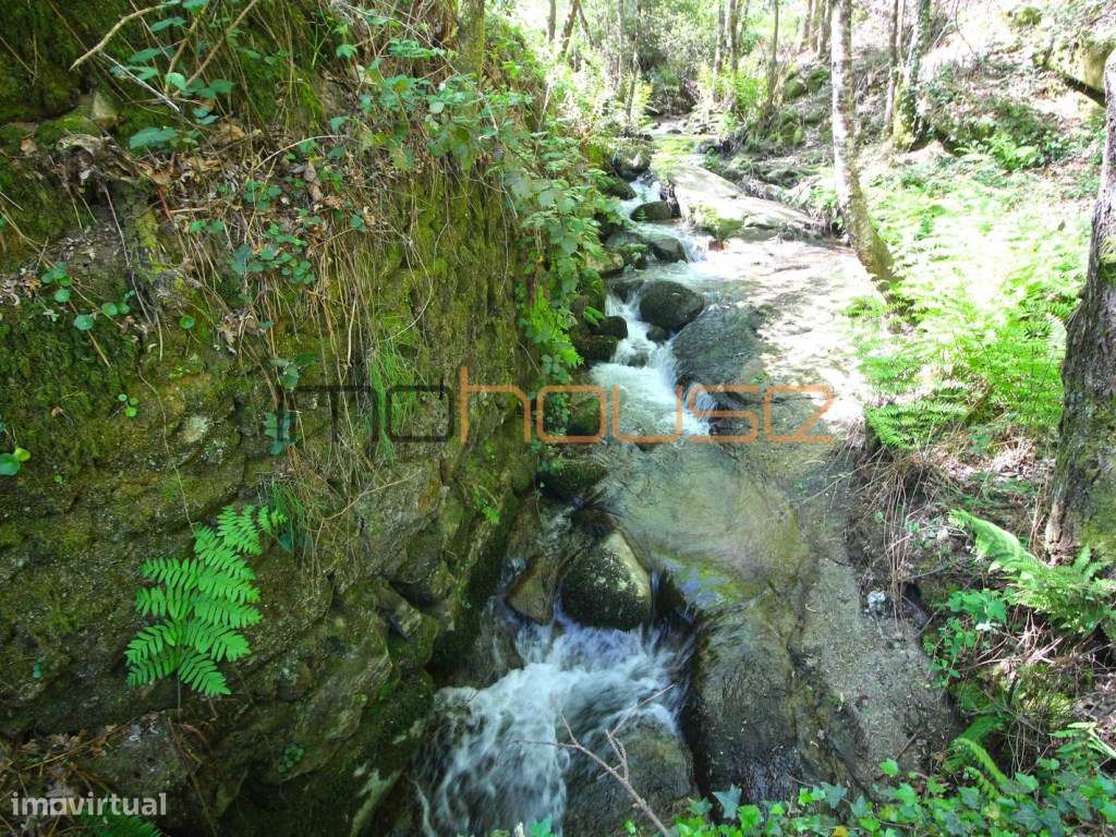 Quinta de 5.6 ha - Varias edificações, ribeiro e vista Douro-21