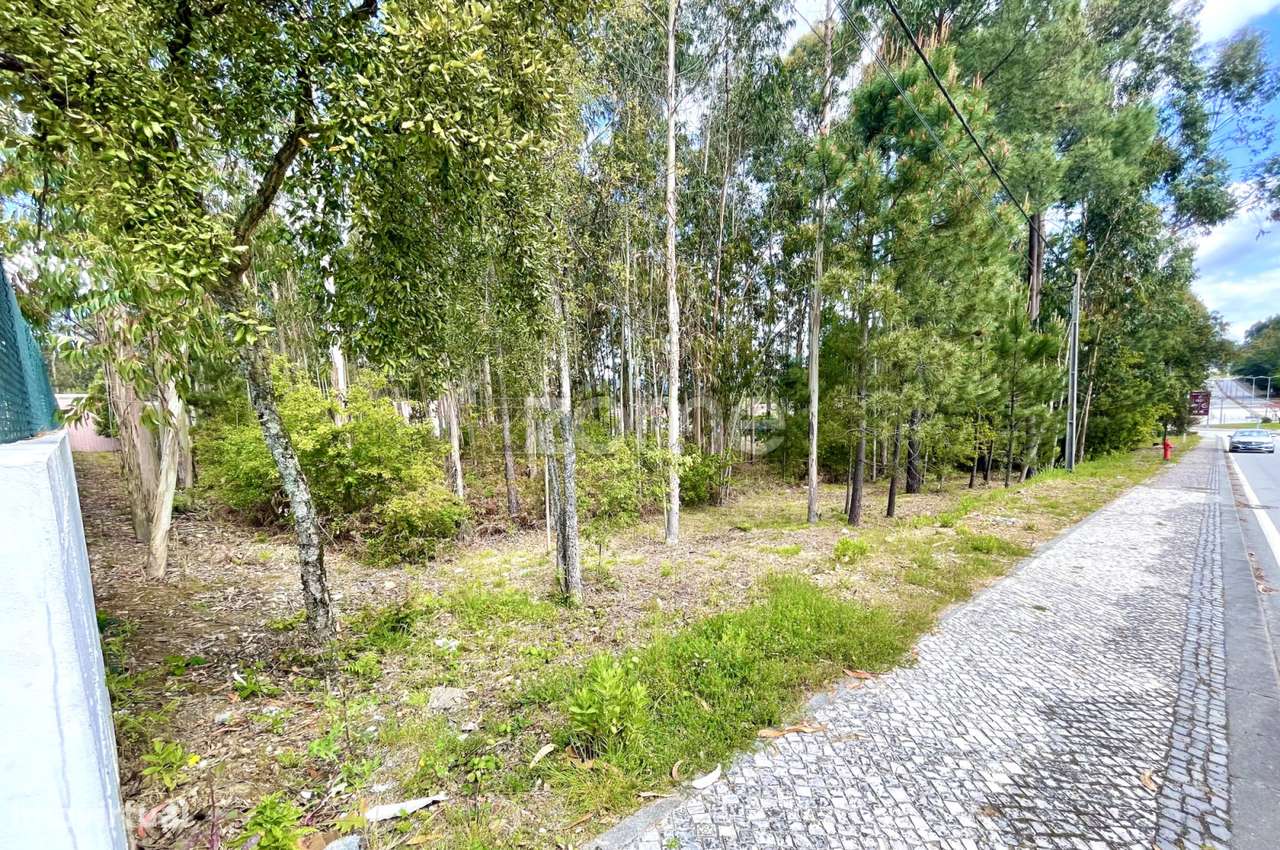 Terreno para construção com 2.450 m2, em Cesar (OAZ) - Grande imagem: 5/15