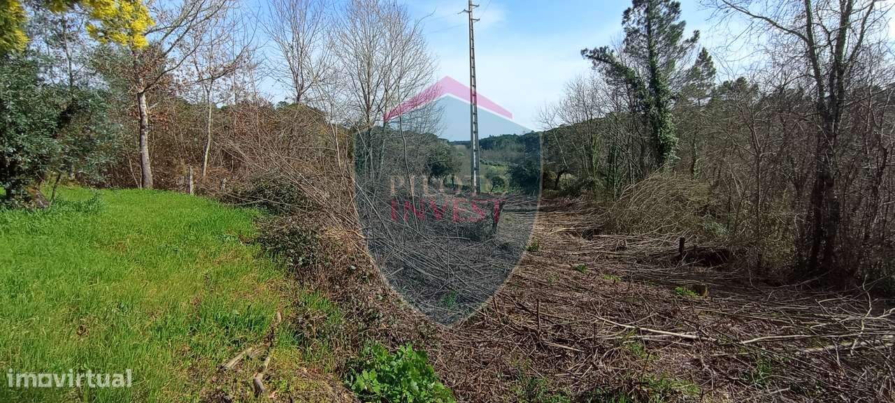 Quinta  Venda em Silgueiros,Viseu - Grande imagem: 3/19