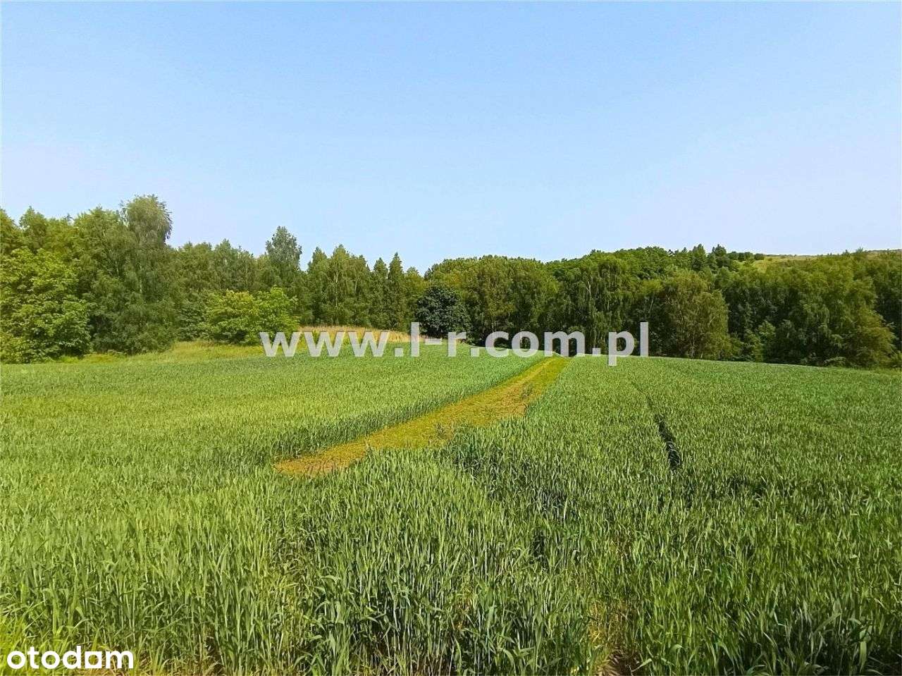 Atrakcyjna Działka W Sąsiedztwie Lasu-5