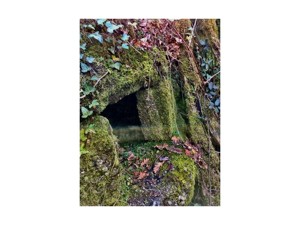 Moinhos Para Recuperar OPORTUNIDADE-20