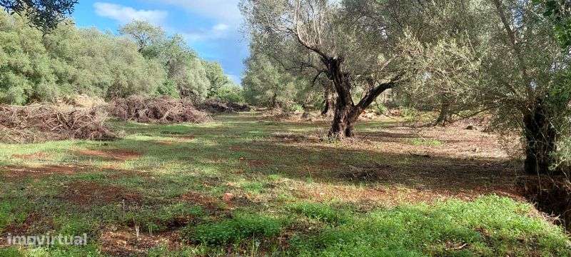 Terreno a 1km de Paderne - Grande imagem: 4/10
