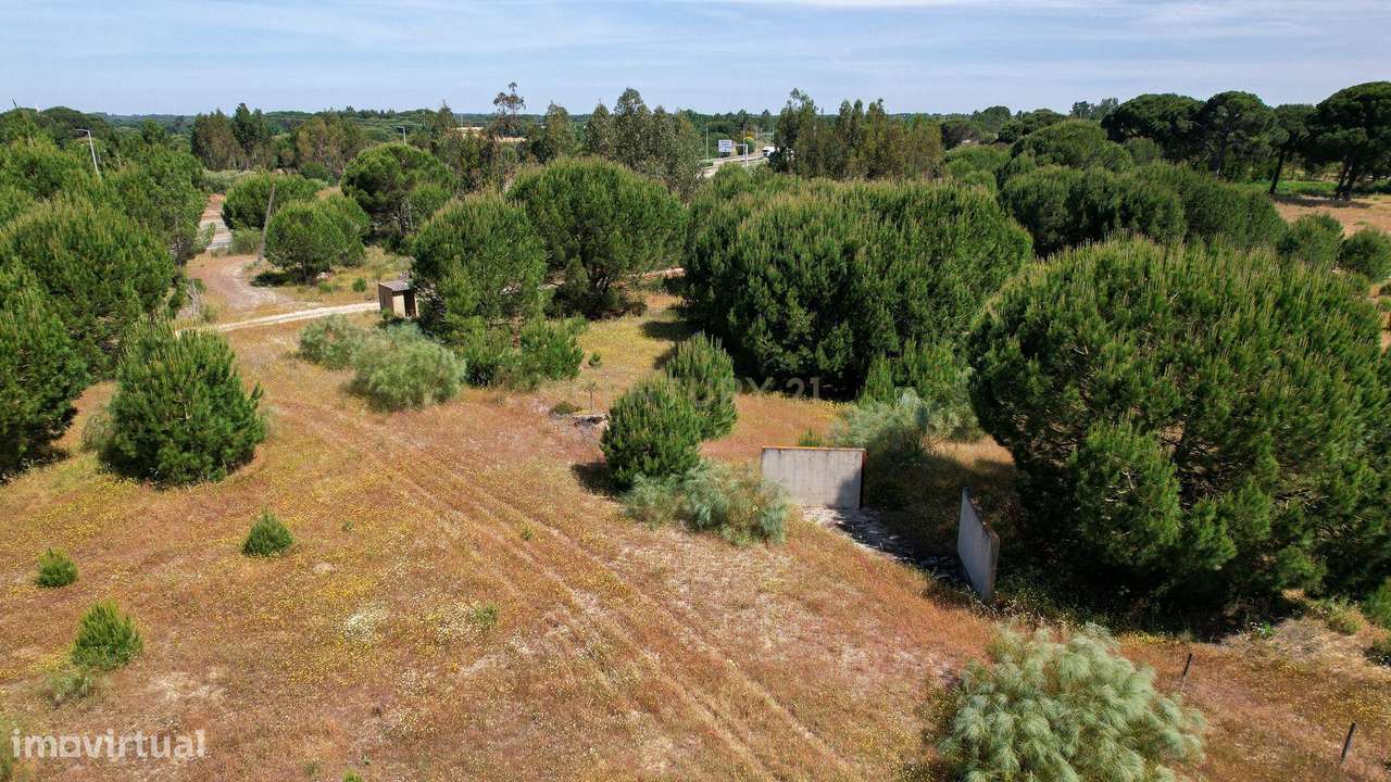 Terreno Rústico c/ 22.500m2 - Sto Isidro de Pegões - Montijo - Grande imagem: 5/12