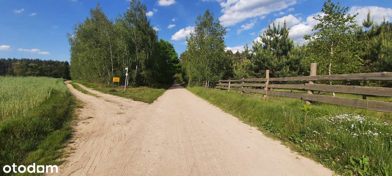 Działka SIEDLISKOWA 1MR 40km od Poznania lasy  jezioro, stadnina koni-5