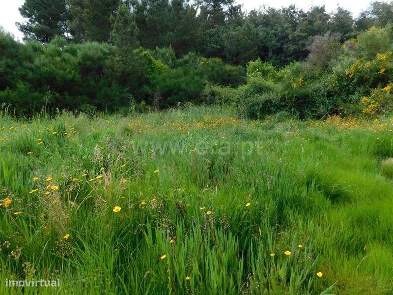 Terreno Rústico Estúdio / Fundão, Enxabarda - Grande imagem: 1/4
