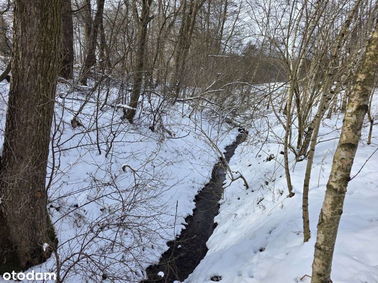 Działka 19 arów – idealna na rekreację | Wójtowa-9