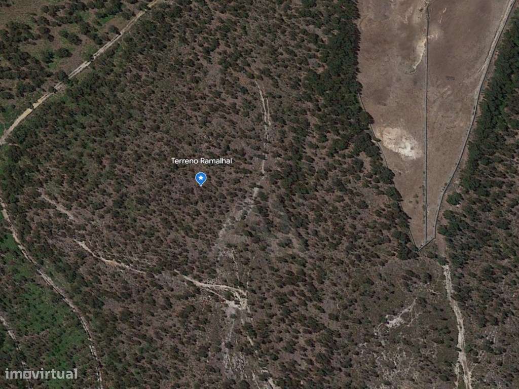 Terreno Rústico em Ramalhal a 10 minutos de Torres Vedras - Grande imagem: 5/28