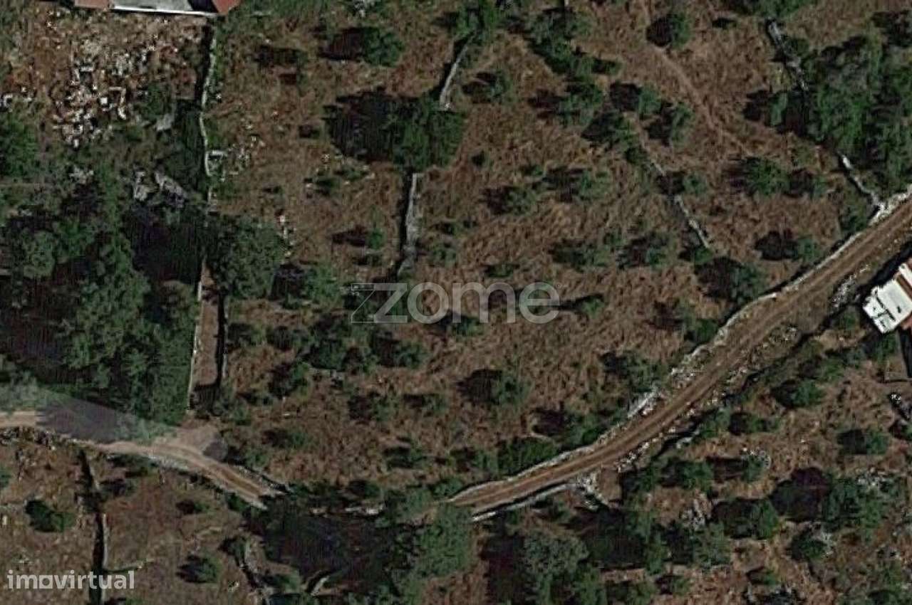 Terrenos Murados ( Cerrados ) em Mira de Aire - Grande imagem: 2/23