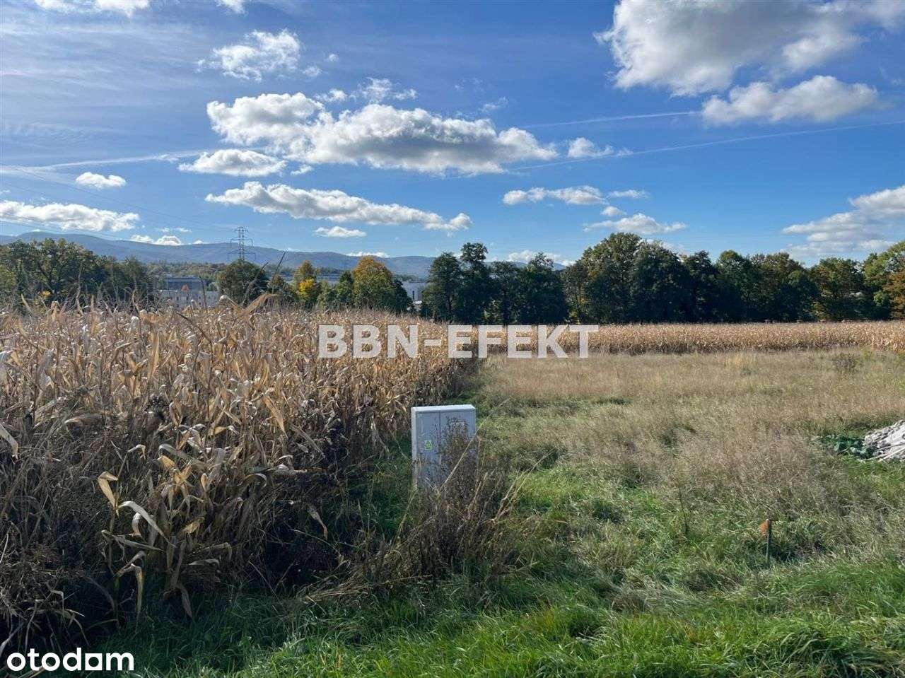 Mazańcowice/Bielsko - Pełny obrazek: 4/7