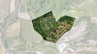 Terreno  para venda - Grande imagem: 2/14