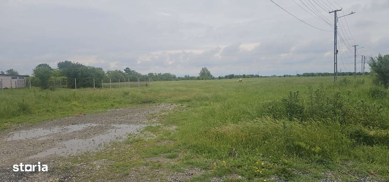 Terenuri intravilane de vânzare în Colacu, Răcari COMISION 0!-2