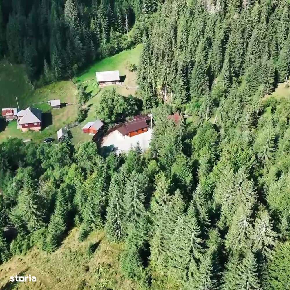 Vand casa cu 5 ha teren in comuna Arieseni - Imagine principală: 3/5